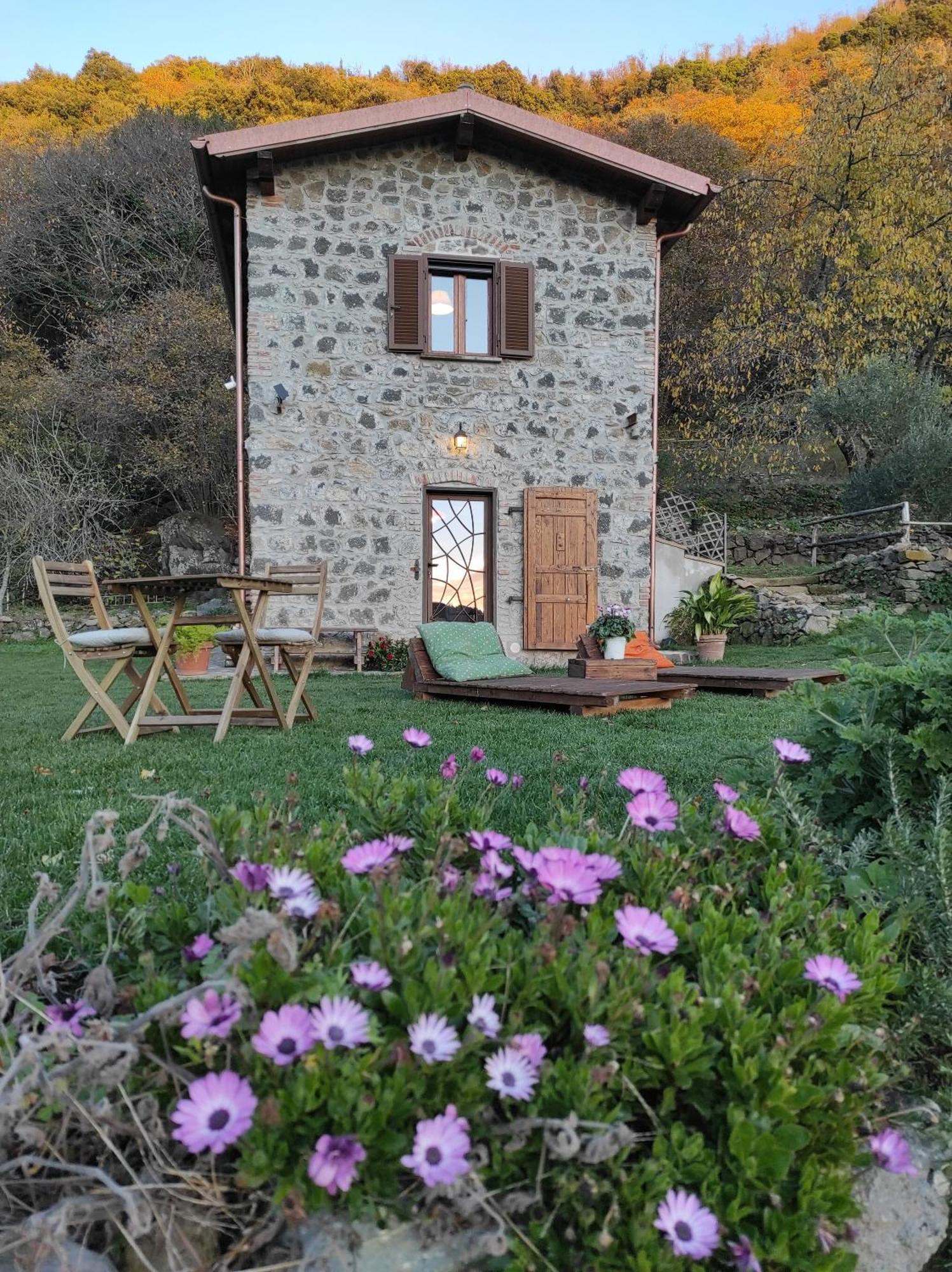 内米Il Nemus Agriturismo别墅 外观 照片